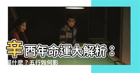 辛酉雞|辛酉雞是什麼意思